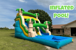 22’ Tropical Palms Dual Lane Water Slide