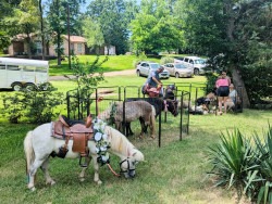 4690a83ce999c28dbea527f8f84c9623 1749149972 Petting Zoo