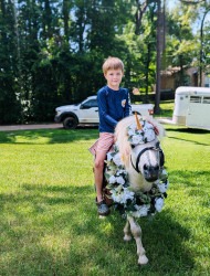 55ef40804910a4621c91ea761d653d25 1749149972 Petting Zoo