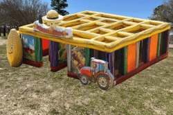 22’ Maze