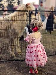 c2cacde0c8b45be36e5f3ed6855a2356 1749149972 Petting Zoo