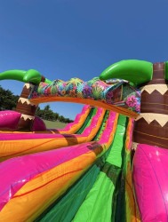 IMG 5987 1750165226 22' Dual Lane Magenta Breeze Water Slide