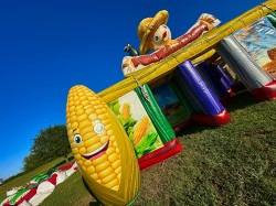 IMG 8839 1756952177 22’ Maze