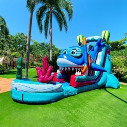 IMG 5157 1769079437 18’ Single Lane Baby Shark Water Slide