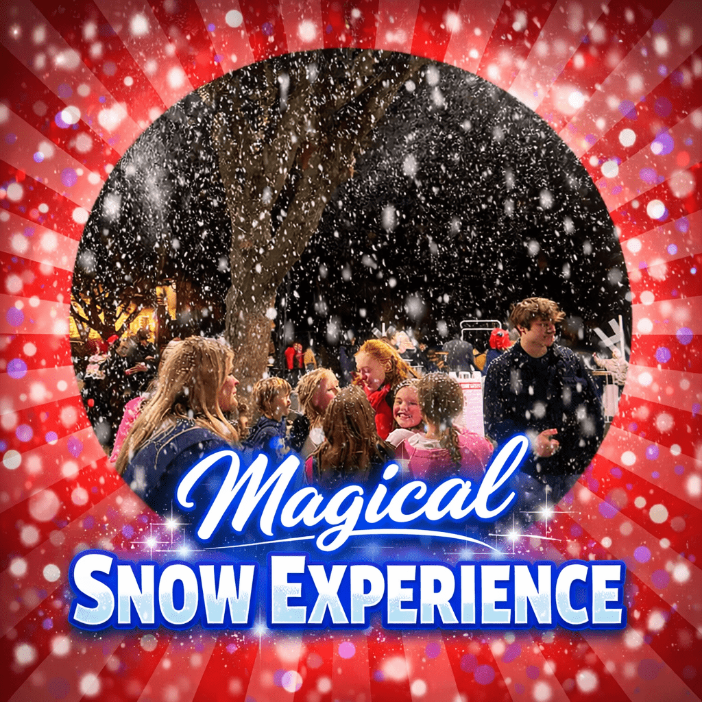 Party Experiences 1 Magical Snow Experience