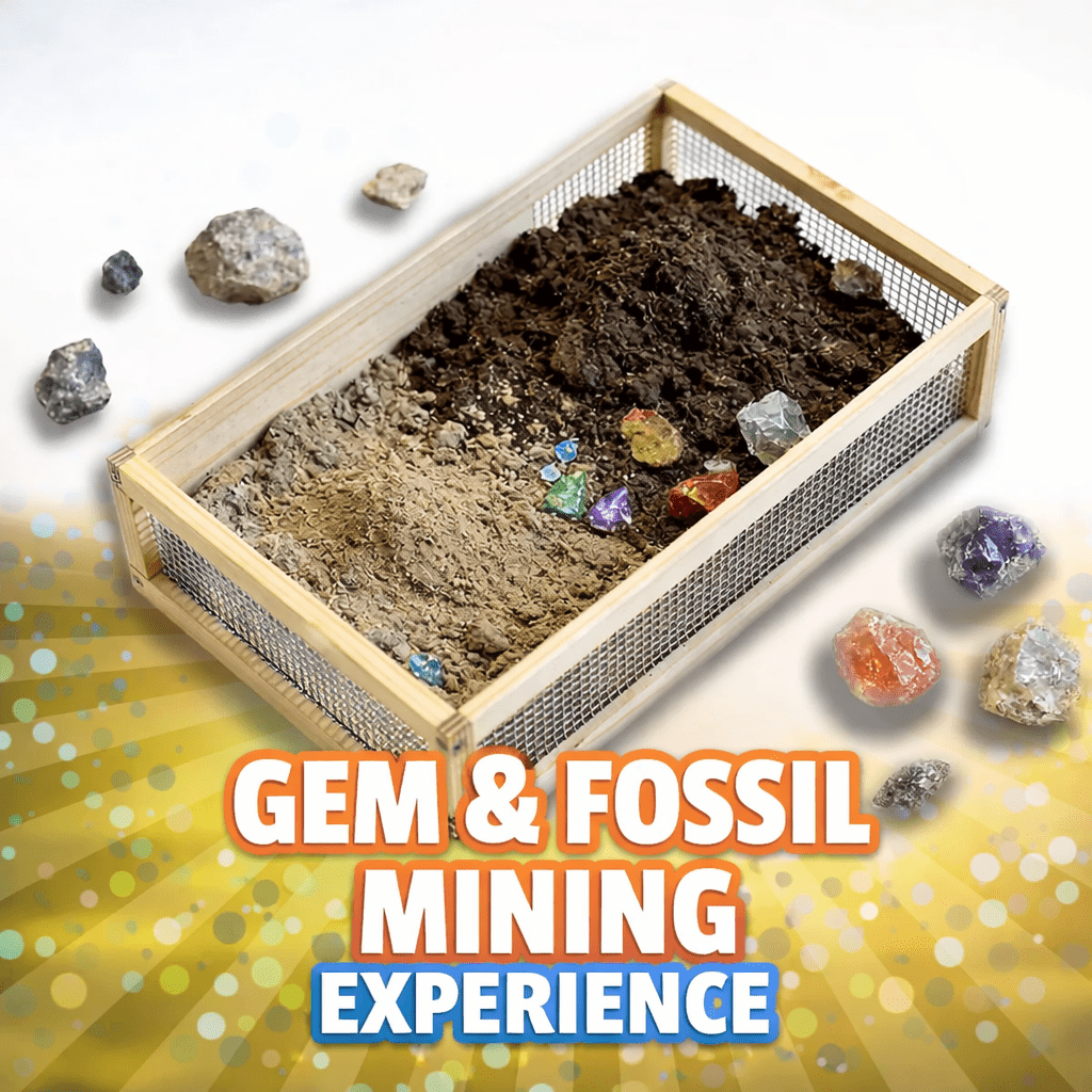 Party Experiences 2 Gem & Fossil Mining Experience