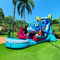 IMG 5157 1769079437 18’ Single Lane Baby Shark Water Slide
