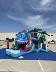 IMG 7622 1774473472 Baby Shark Dual Lane Combo