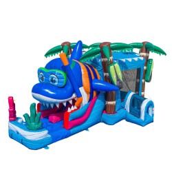 IMG 7626 1774473472 Baby Shark Dual Lane Combo